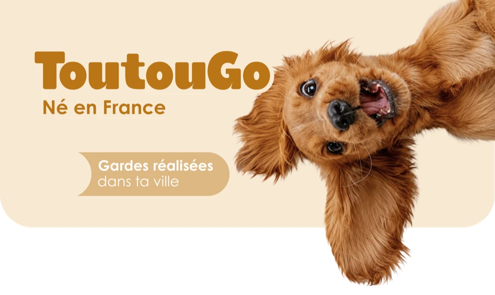 ToutouGo — Né en France